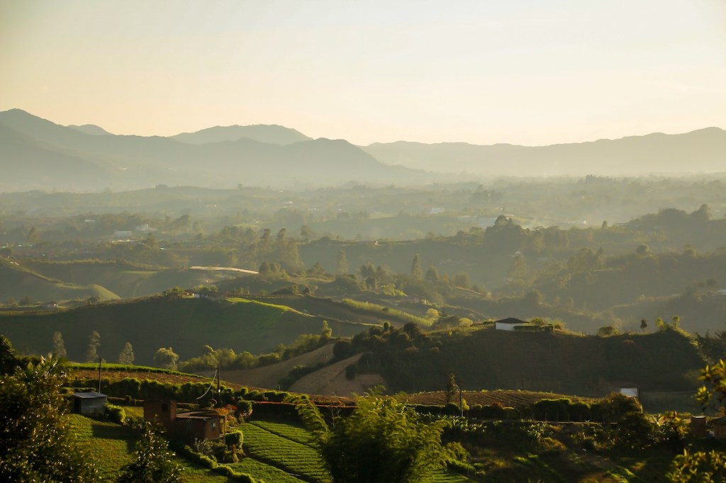 Hotel sustentável na Colômbia tem área de reflorestamento e permacultura. Na foto, vista das áreas verdes ao redor do hotel.