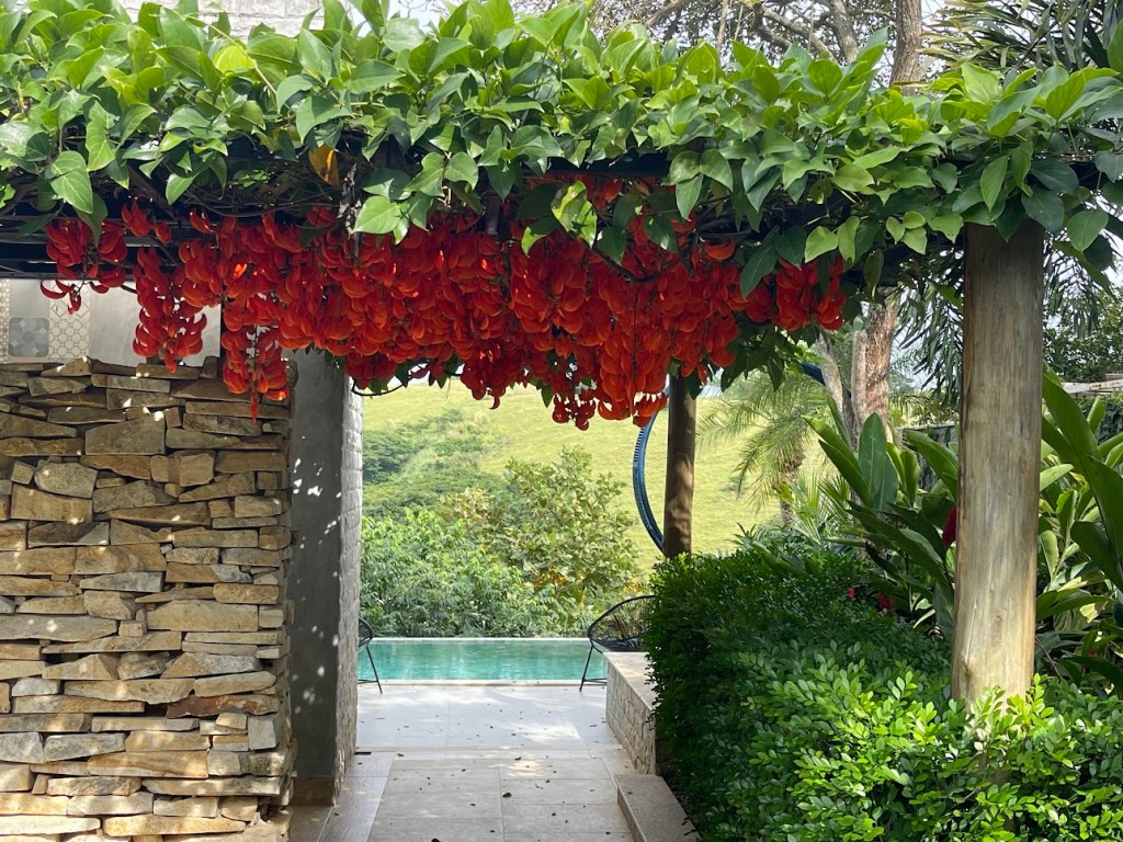 Jardim de 200 m² tem paisagismo tropical e lago que funciona como piscina